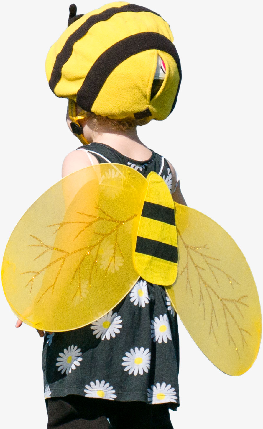 Child dressed as a bee
